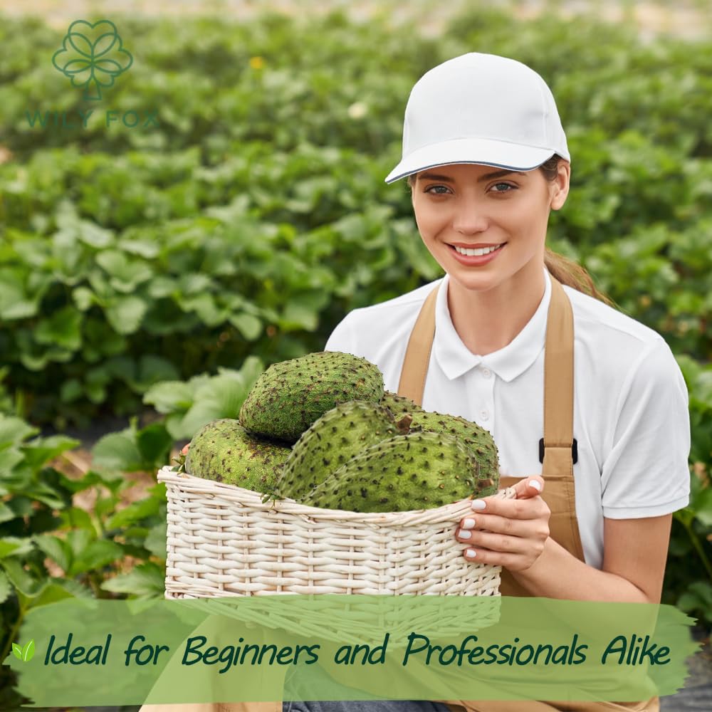 Wily Fox soursop tree seeds offer fresh fruit possibilities at home.