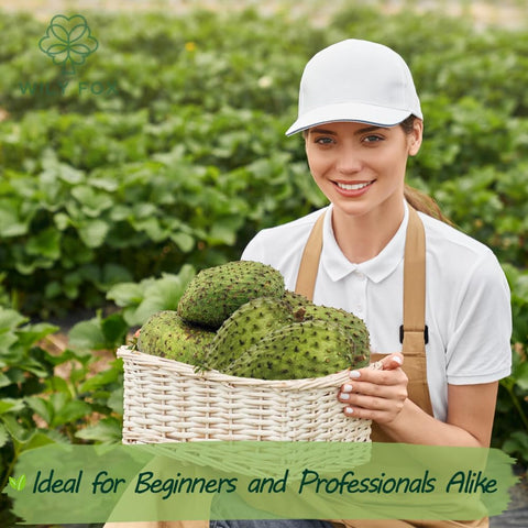 Wily Fox soursop tree seeds offer fresh fruit possibilities at home.