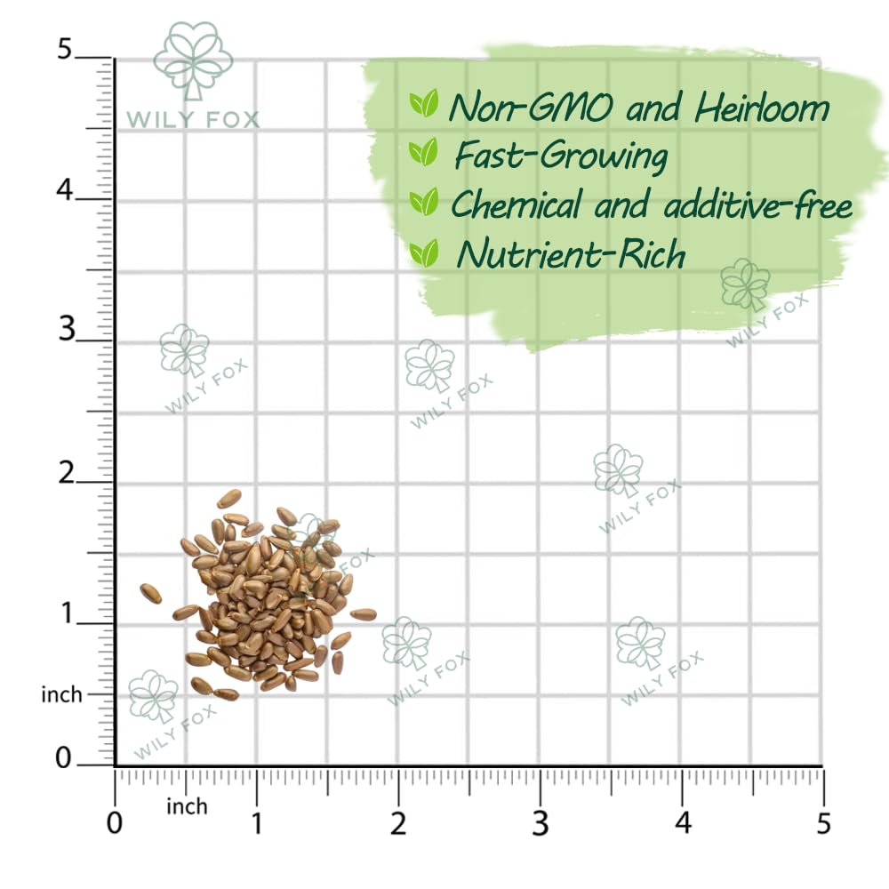 Wily Fox soursop seeds demonstrate strong germination potential for quick garden starts.