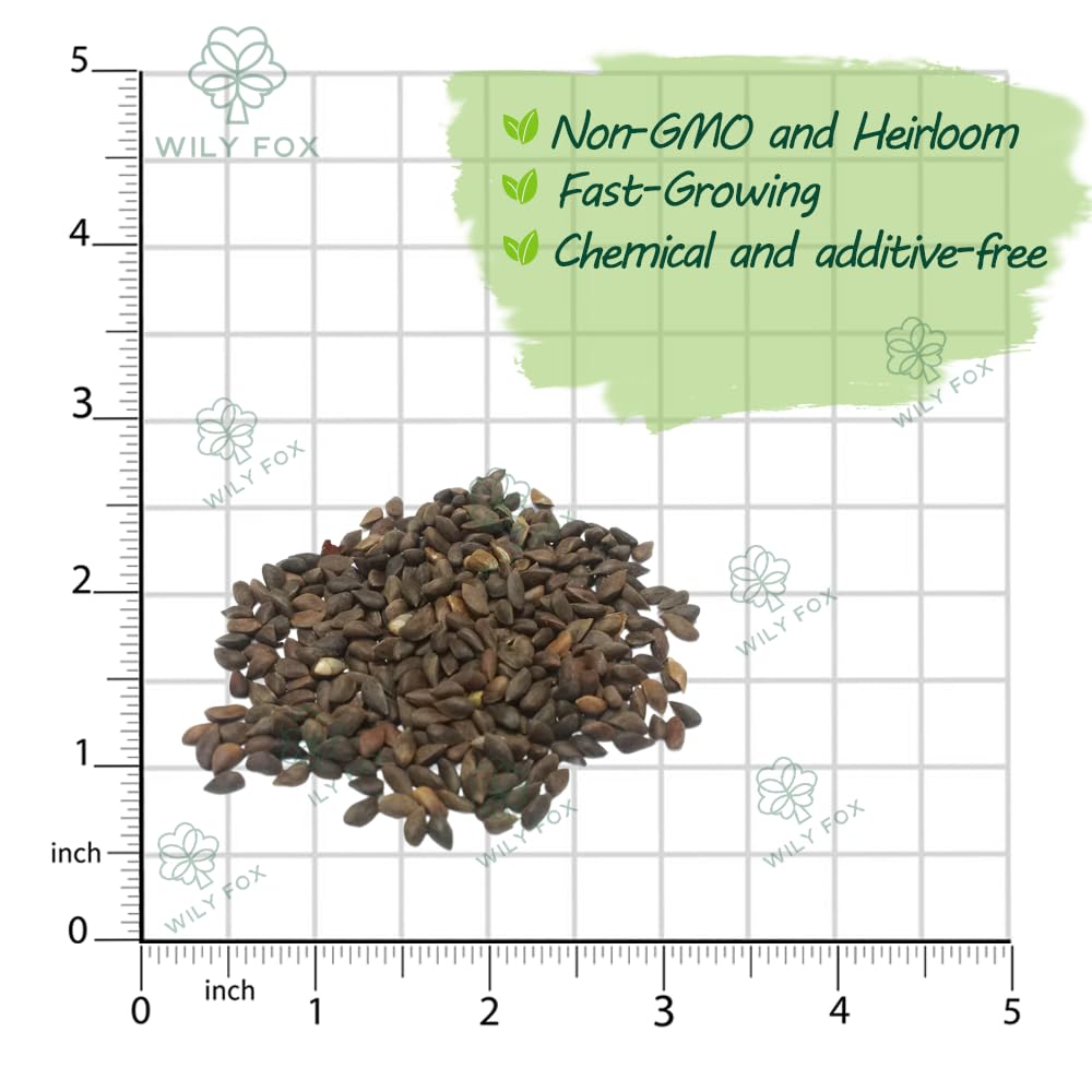 Wily Fox stratification process highlighting cold-moist prep for healthy starts.