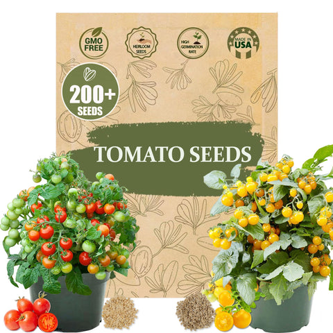Wily Fox Tiny Tim red tomatoes thriving in a container for balcony gardening.