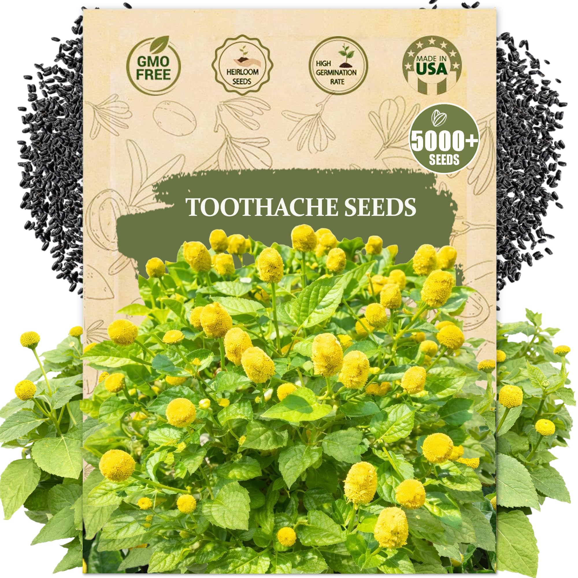 Wily Fox toothache plant seeds packet ready for planting in pots and borders.