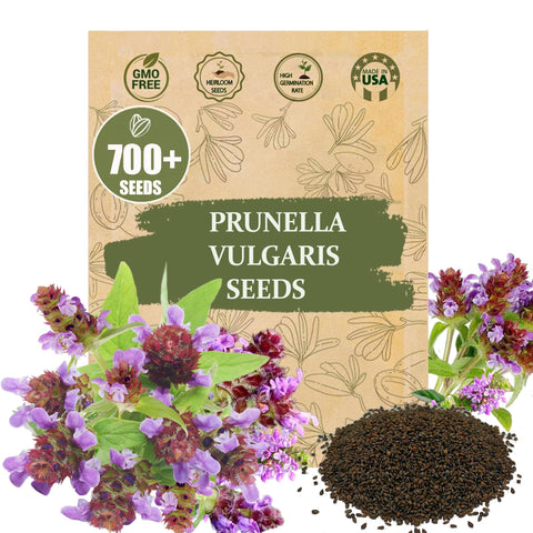Wily Fox prunella seeds pack ready for home planting and easy growth.