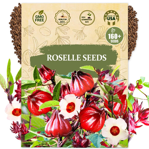 Wily Fox Roselle seeds pack for a bountiful home garden harvest.