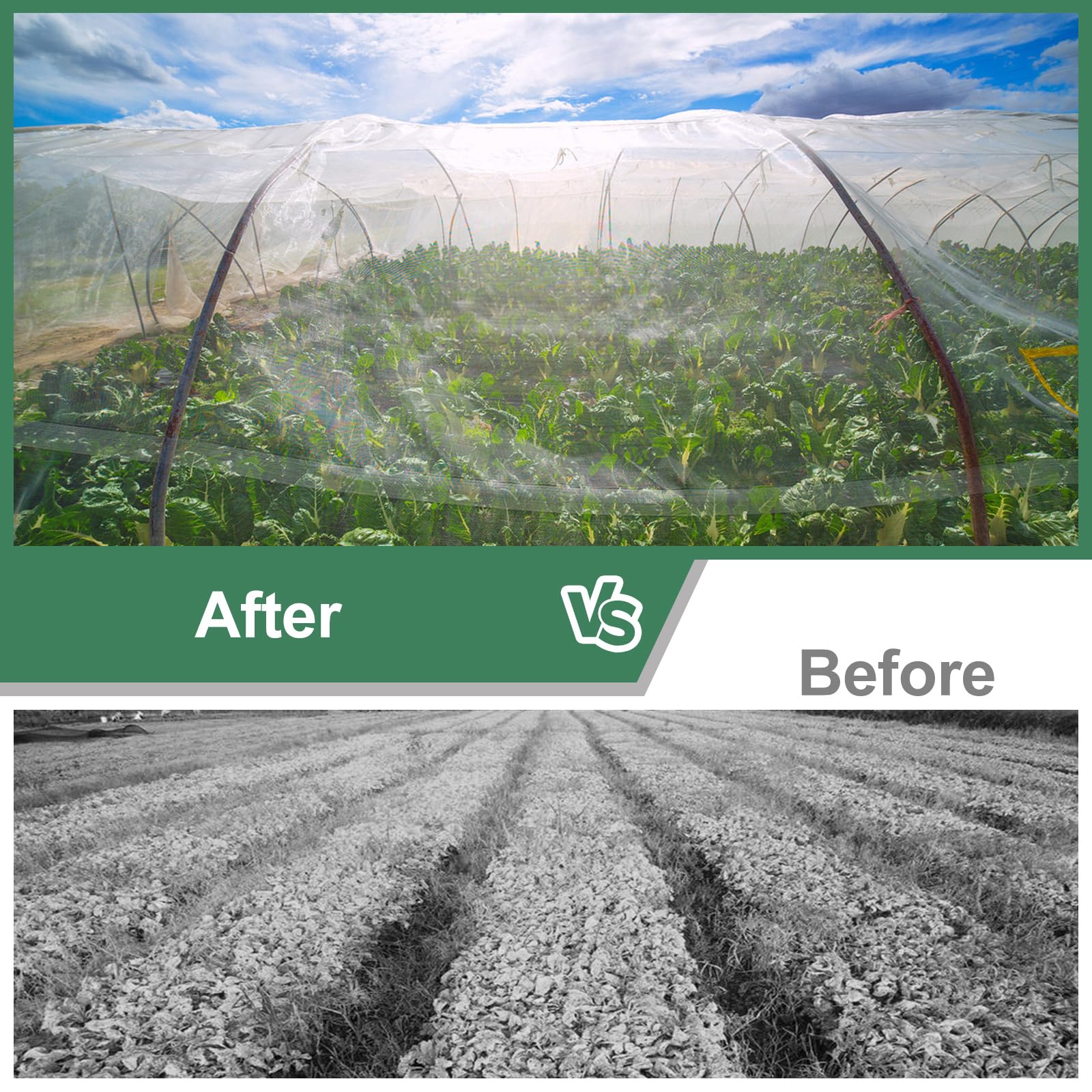 WiMas versatile crop netting protects plants while allowing sunlight and irrigation through.