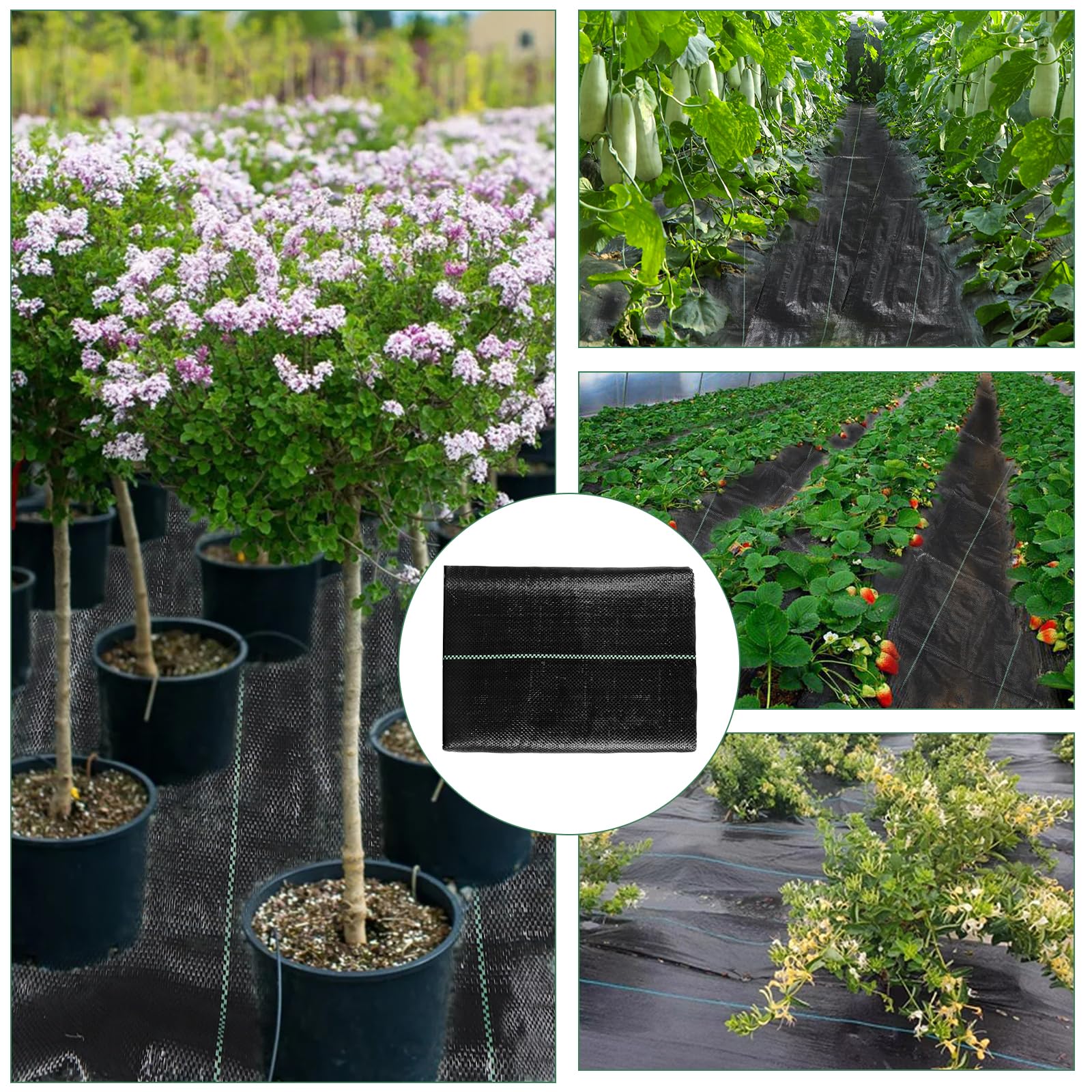 WiMas weed barrier in yard and greenhouse context shows versatile applications.
