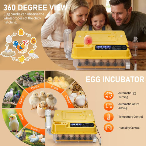 Winado 30-egg capacity layout illustrating batch hatching potential.