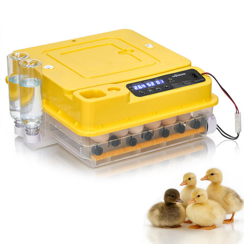 Winado 30-egg incubator interior view showing batch capacity for hatching.