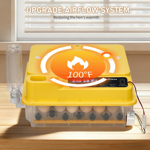 Winado digital display panel showing temperature, humidity, and days.