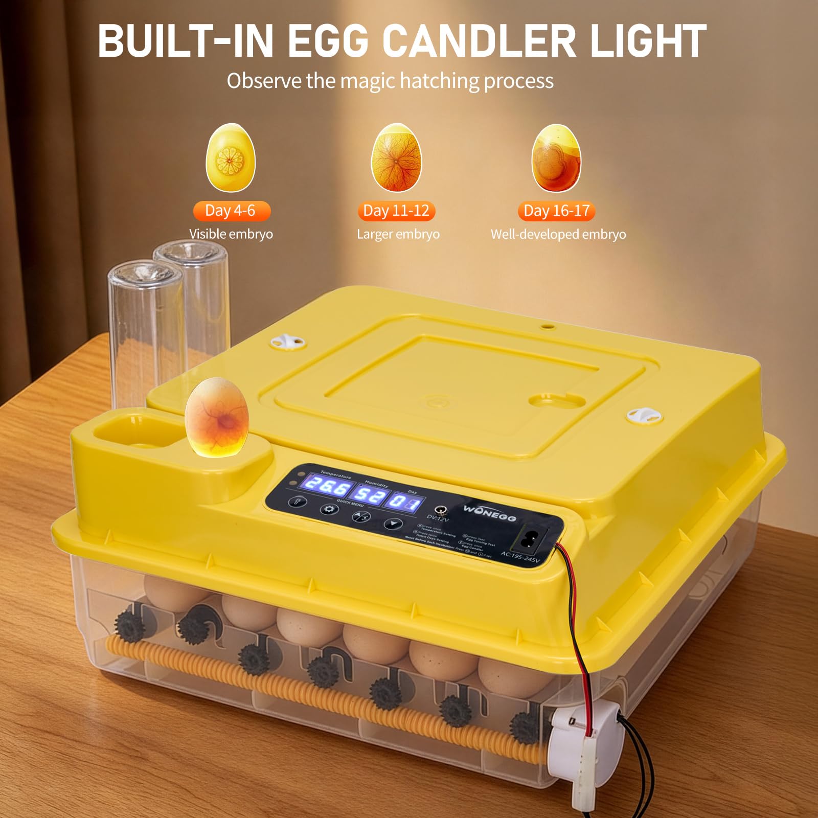 Winado egg candler window enabling observation of embryo development.