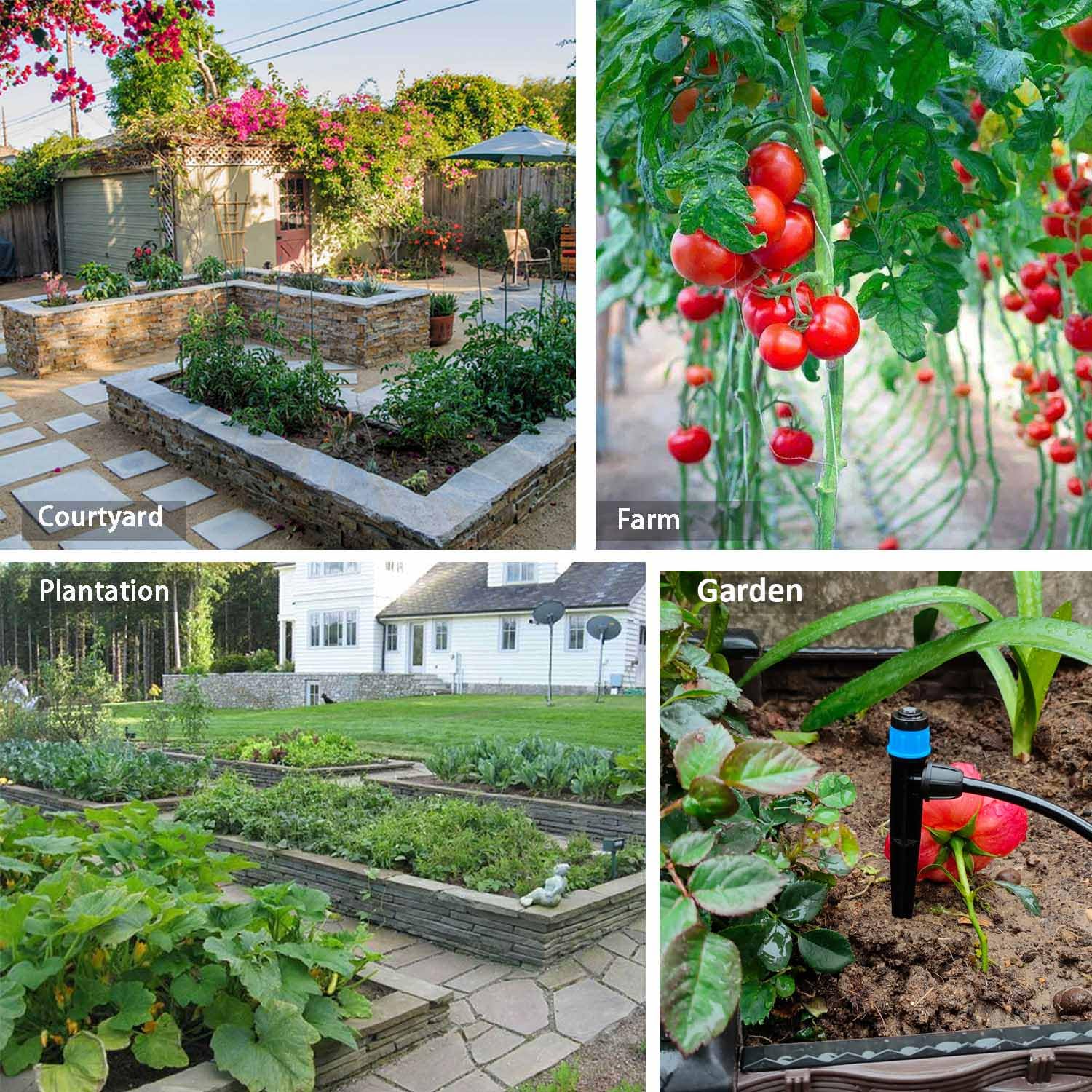 Winbomgo greenhouse irrigation system keeps plants hydrated
