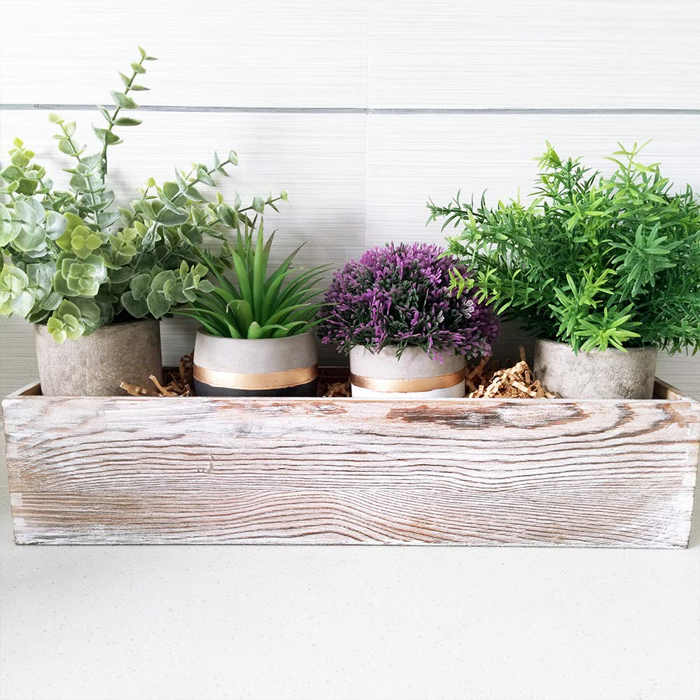 Windiy removable plastic liner inside the box protects surfaces during plant displays