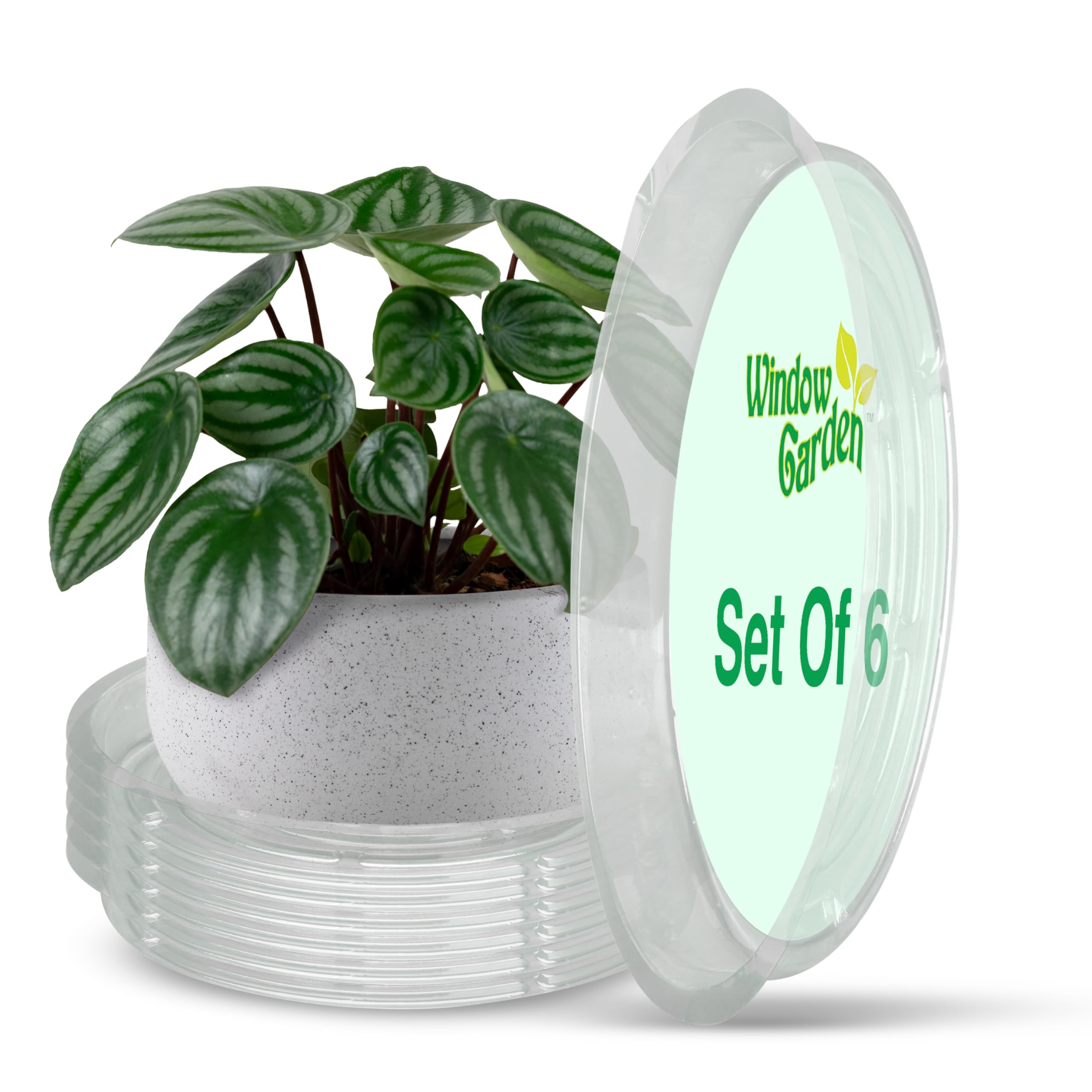 Window Garden clear plant saucer for indoor use catches excess water