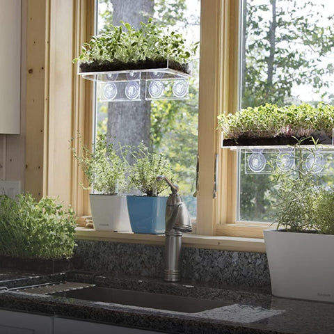 Window Garden Veg Ledge clear acrylic shelves create a nearly invisible floating display