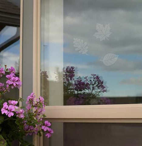 WINDOWALERT Bird deterrent design helps reduce window strikes in homes.