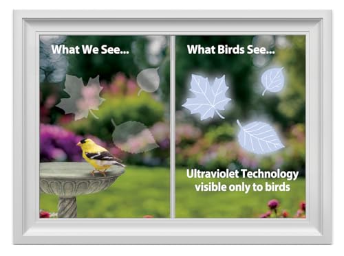 WINDOWALERT Exterior glass application demonstrates easy cling on clean surfaces to deter birds.