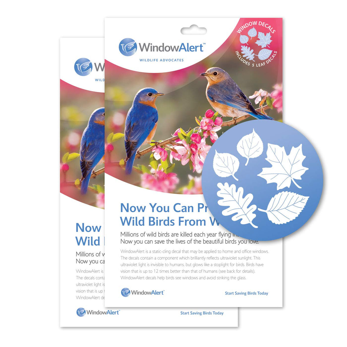WINDOWALERT Leaf Medley 2-pack decals deter bird collisions on exterior windows.