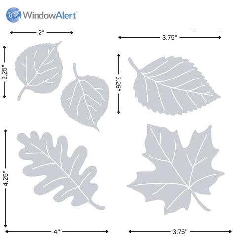 WindowAlert Leaf Medley Maple Leaf 4inch exterior decal helps prevent bird impacts.
