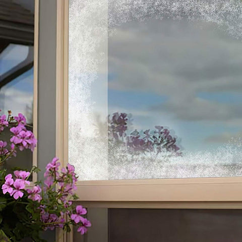Close-up of coated window showing barrier against bird reflection.