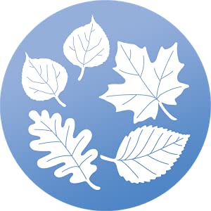 WINDOWALERT USA-made decals support local manufacturing while safeguarding wildlife.