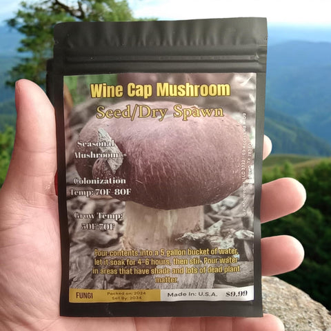 Dormant wine-cap mycelium in garden patch ready to start