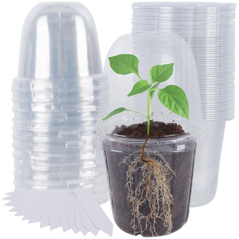 Winemana 36-set nursery pots with humidity dome for easy seedling observation and growth.