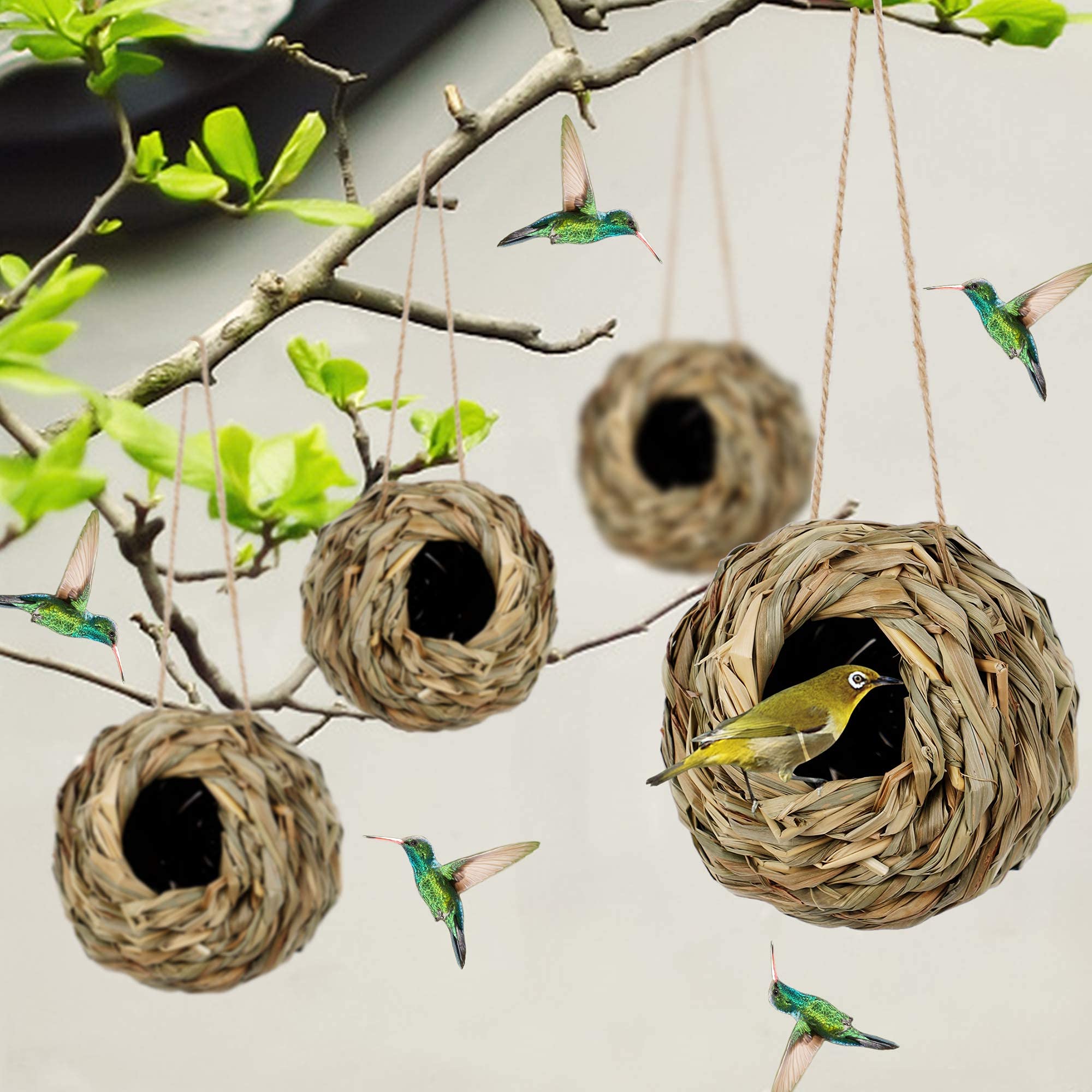 Winemana ball-shaped nest with 1.8 inch entry supports bird access.