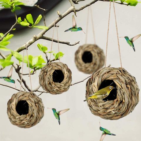 Winemana ball-shaped nest with 1.8 inch entry supports bird access.