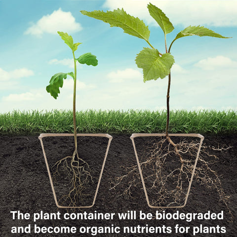 Winemana biodegradable pots support eco-friendly transplanting and root safety.