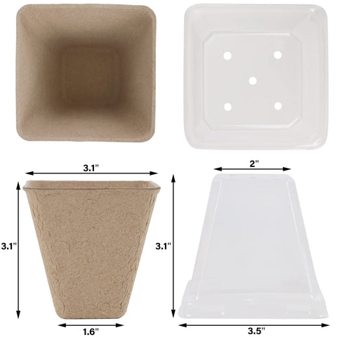Winemana clear humidity dome for observing plant growth with moisture control.