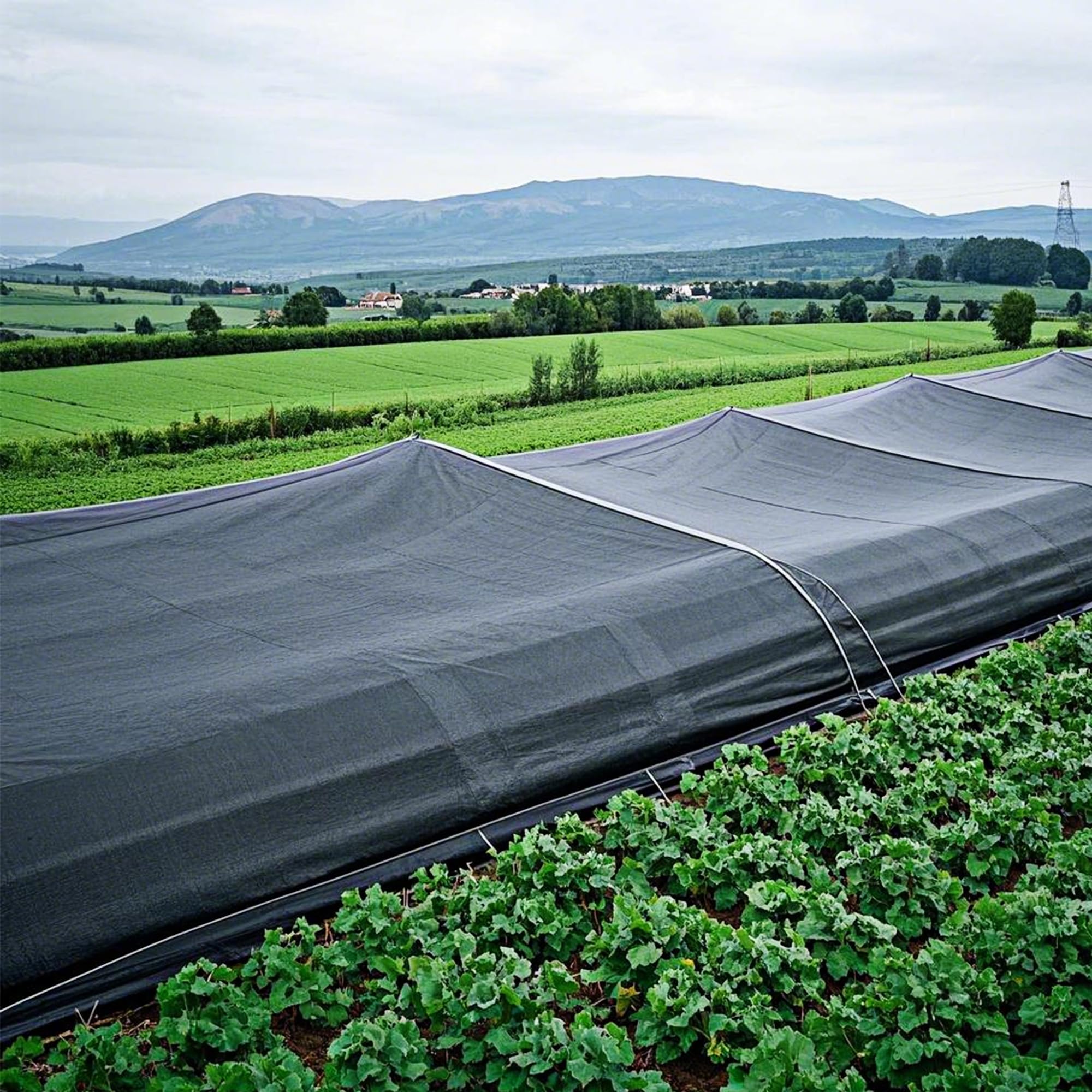 Winemana durable outdoor shade fabric withstands sun, wind, and rain.