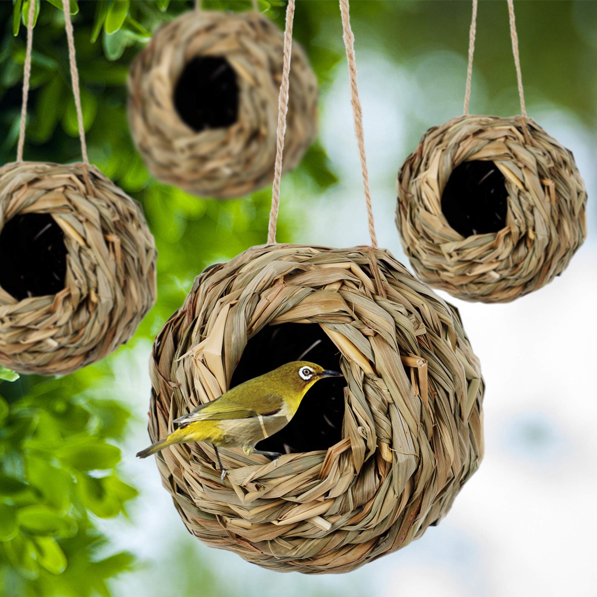 Winemana four-pack bird houses for garden, balcony, and patio.