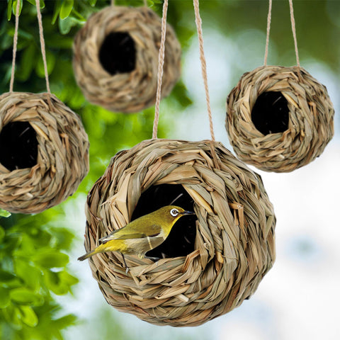 Winemana four-pack bird houses for garden, balcony, and patio.