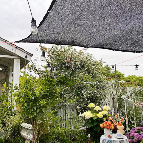 Winemana greenhouse and garden setups benefit from shade and protection.