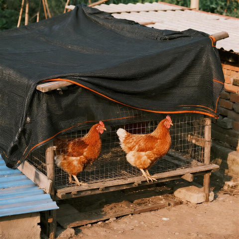 Winemana easy-clean shade cloth can be hosed clean after use.