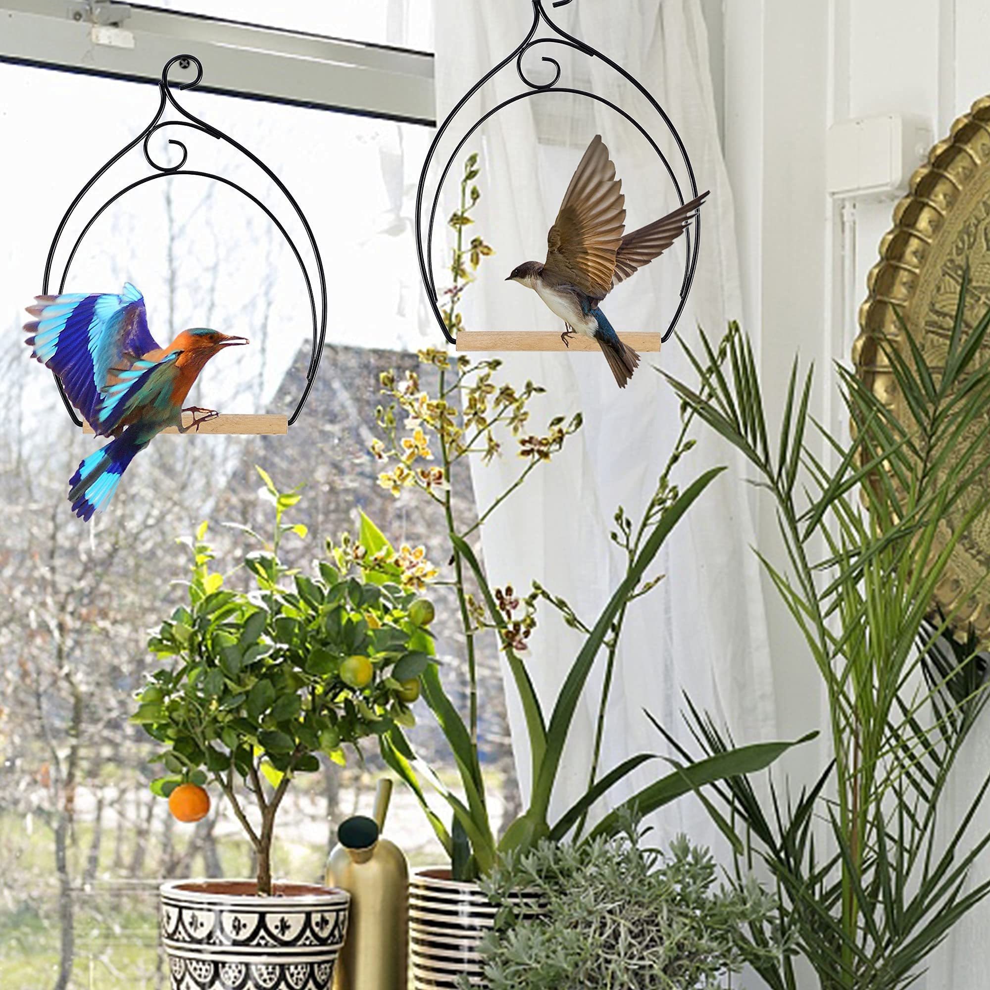 Winemana hummingbird swing sized 5.5 by 7.4 inches for perches