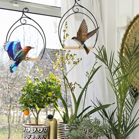 Winemana hummingbird swing sized 5.5 by 7.4 inches for perches