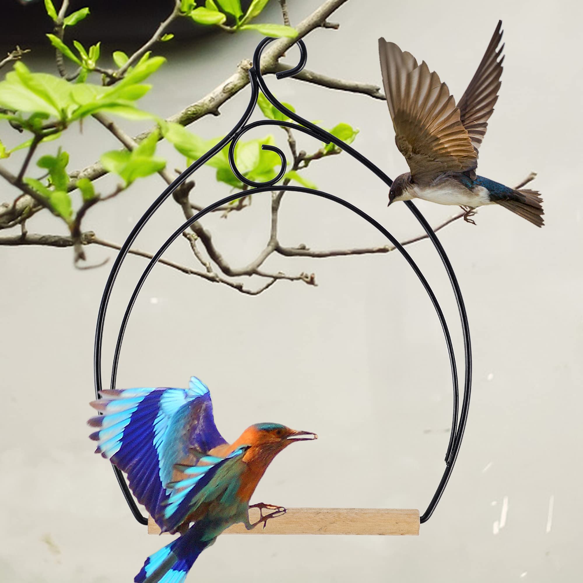 Winemana hummingbird swing near your feeder lets you observe birds up close