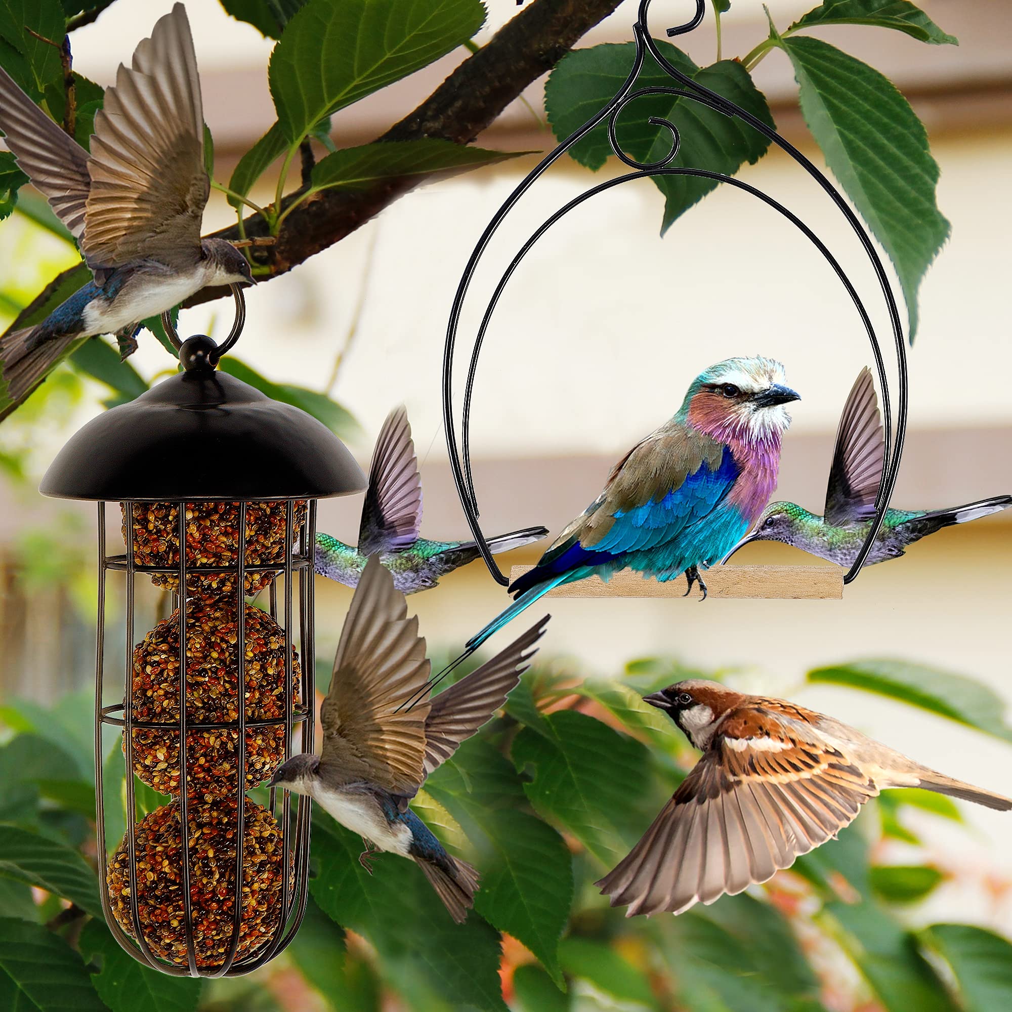 Winemana hummingbird swing for patio or garden enhances outdoor birding moments
