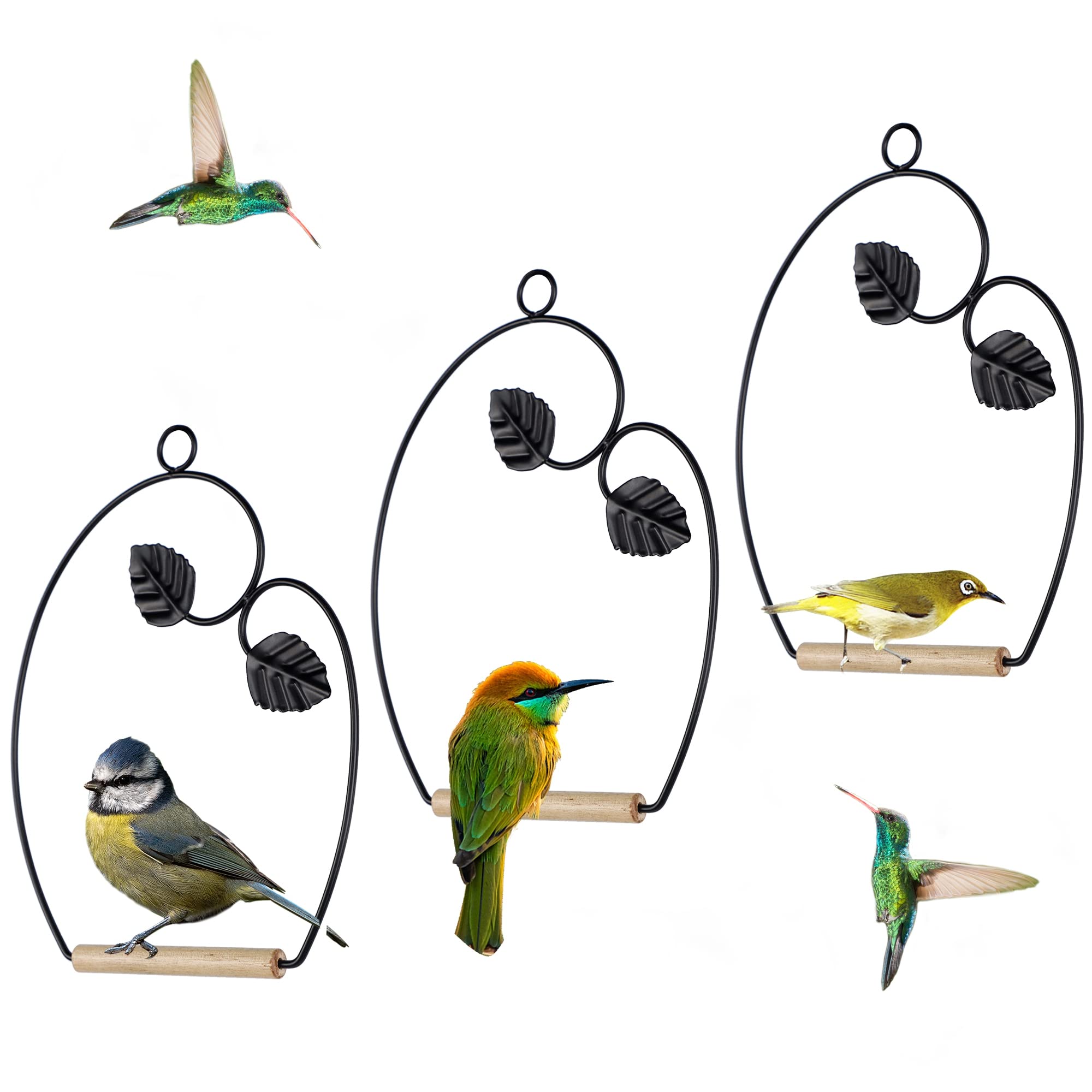 Winemana hummingbird swings with rust-resistant frame for durable outdoor use