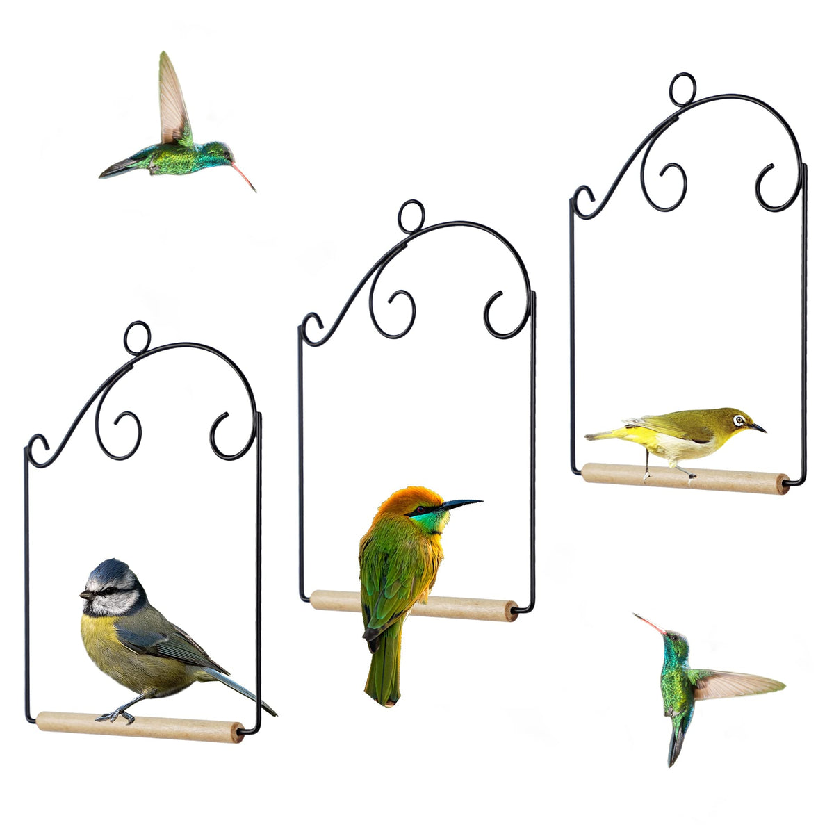 Winemana hummingbird swings set of 3 visible near a feeder for calm backyard birdwatching.