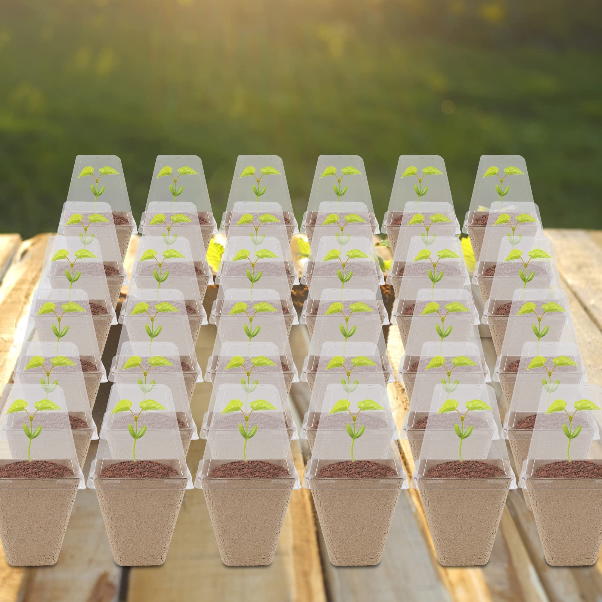 Winemana indoor-outdoor garden kit supports versatile planting setups.