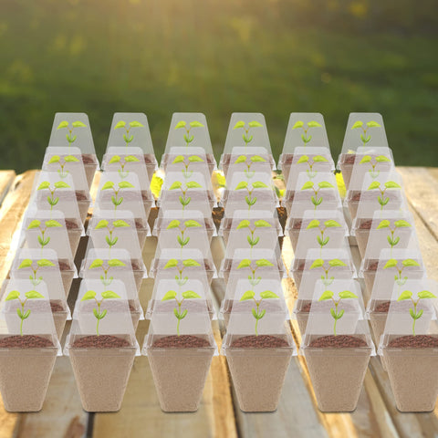 Winemana indoor-outdoor garden kit supports versatile planting setups.