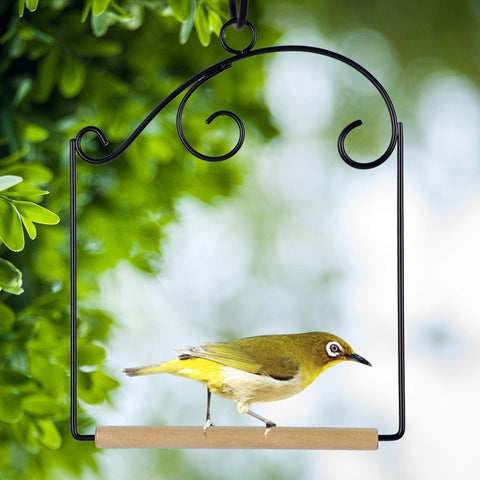 Winemana set is suitable for indoors and outdoors.