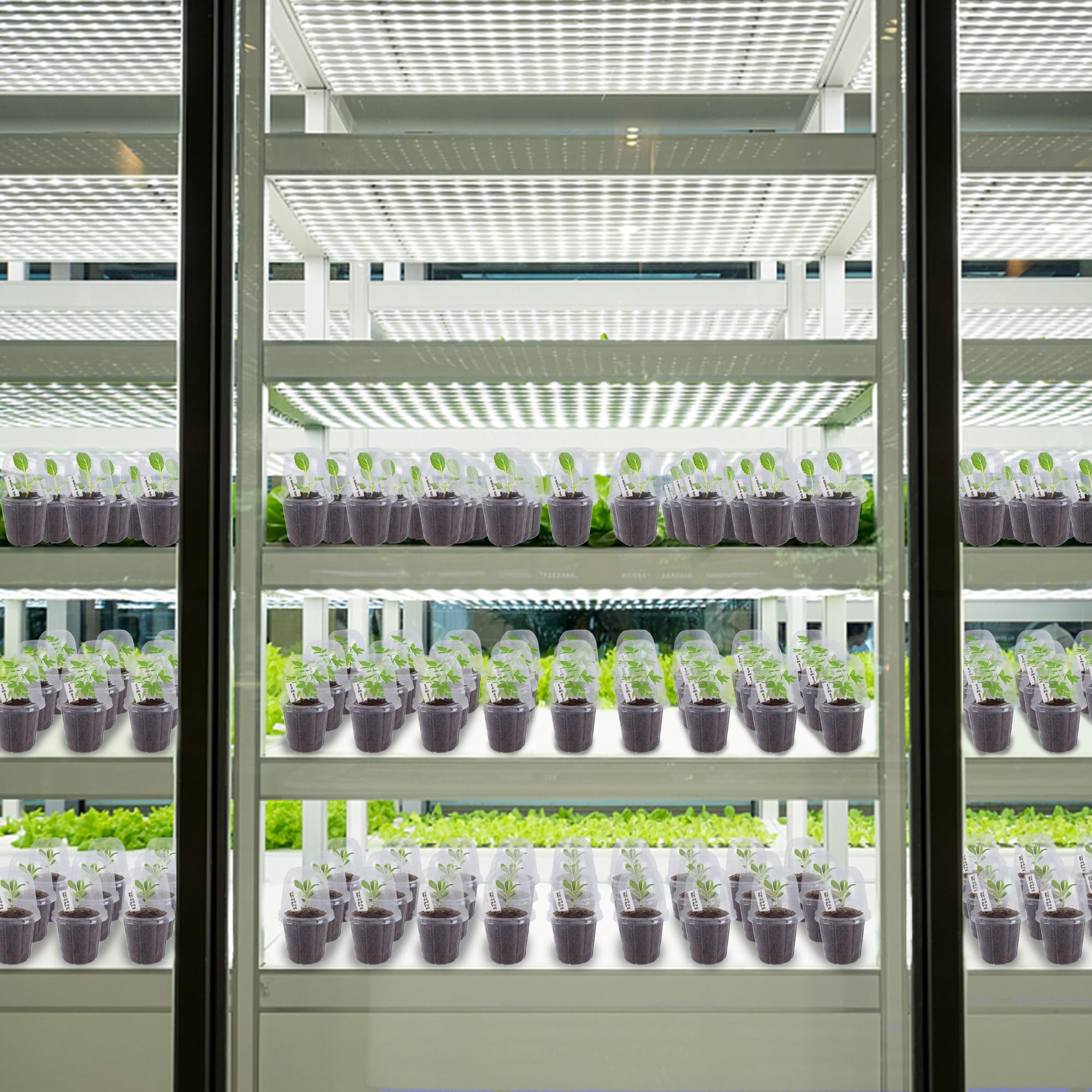Winemana versatile kit suitable for indoor and outdoor seedling care.