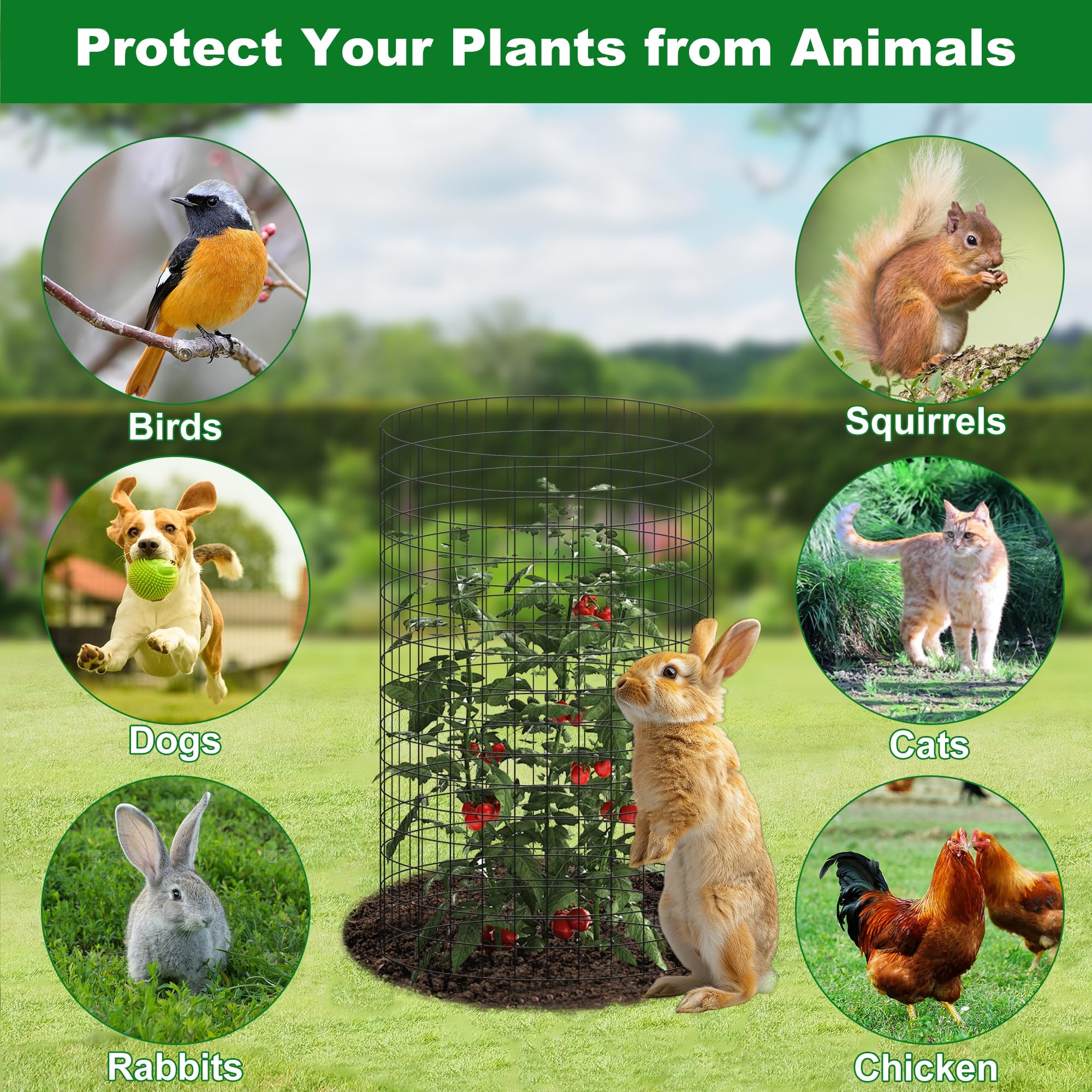 Winemana metal wire cage guards flowers and vegetables in garden beds