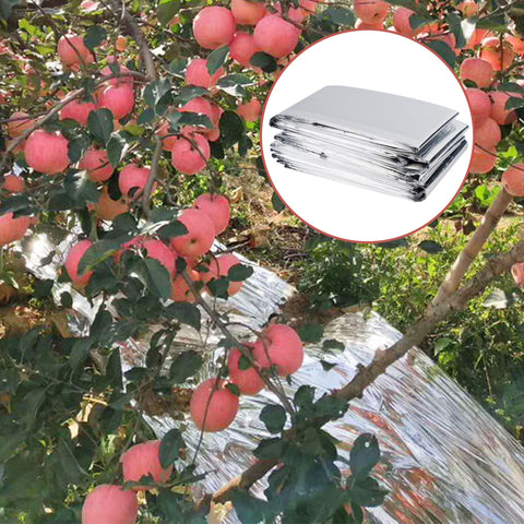 Winemana Mylar film eco-friendly alternative to aluminum foil for projects