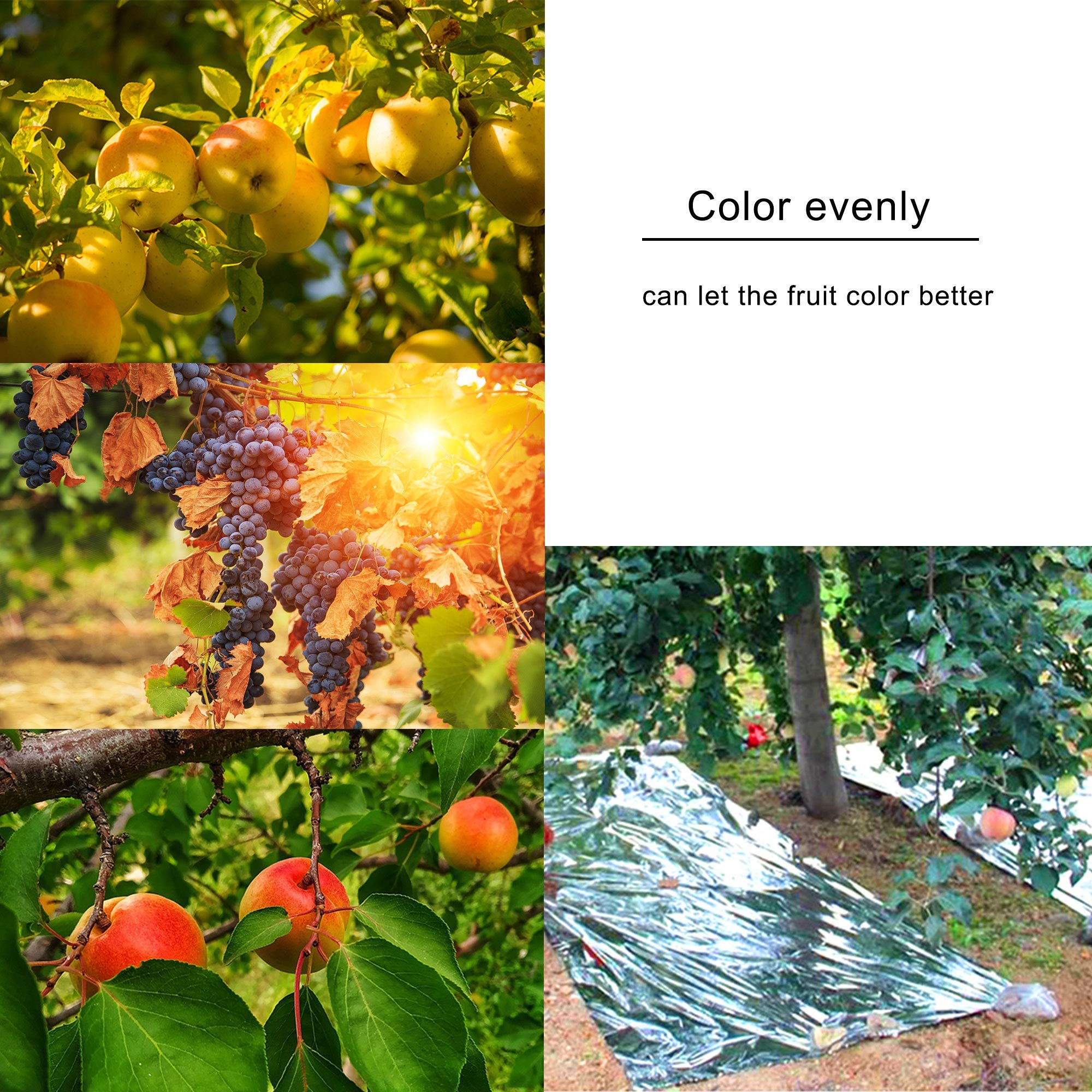 Winemana Mylar film applied to indoor plant growth setup for light optimization