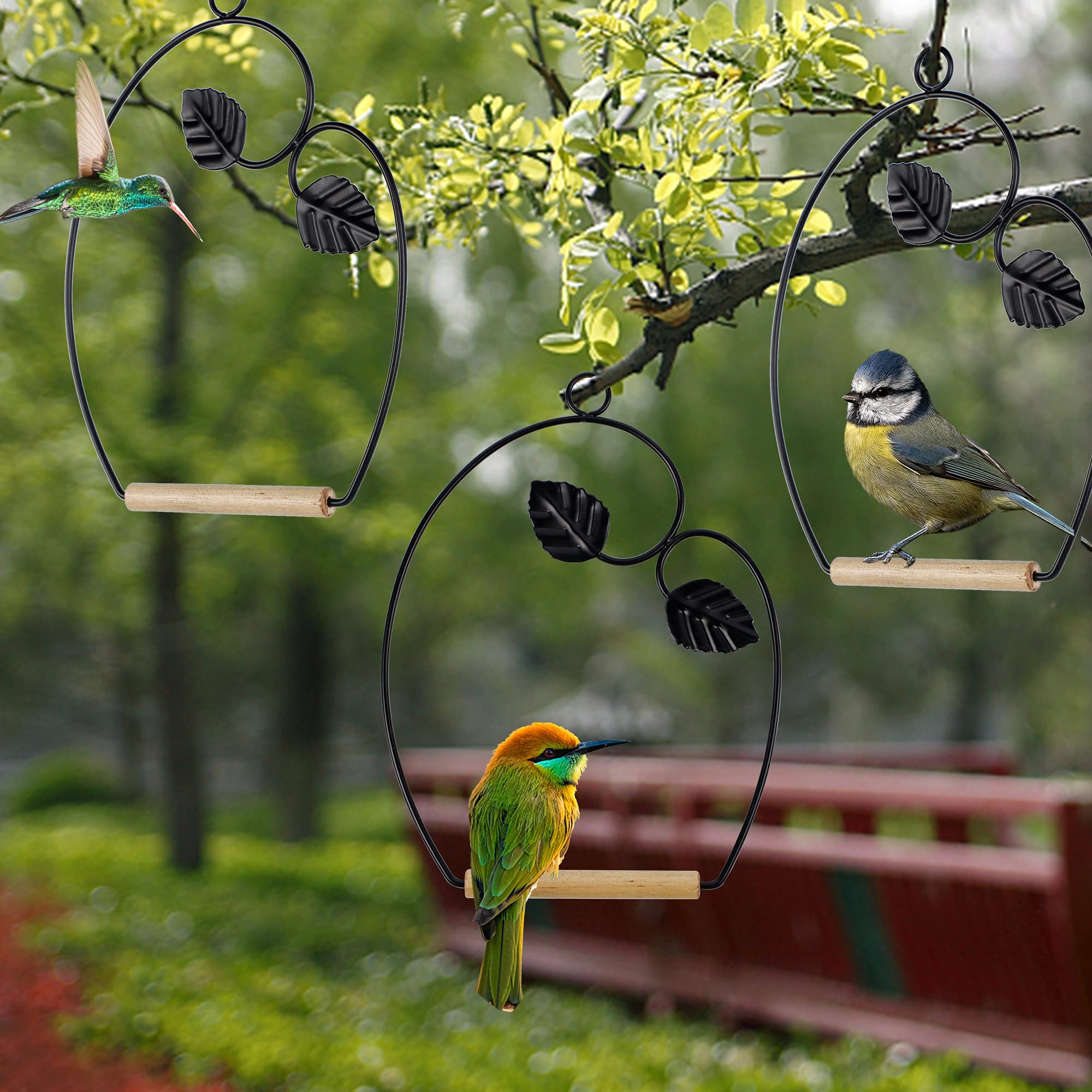 Natural wooden dowel perch by Winemana for a welcoming bird resting spot