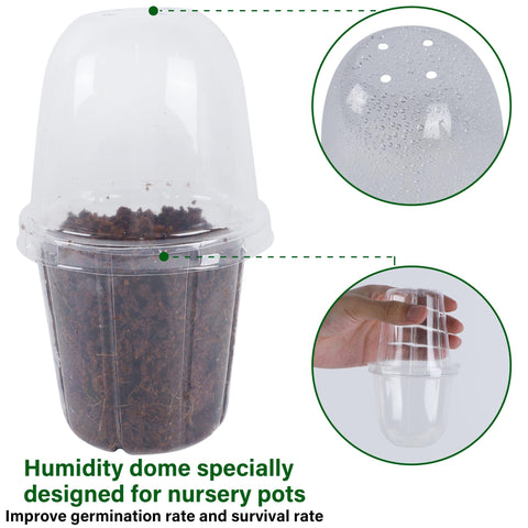 Winemana pots with drainage holes to prevent overwatering and root issues.